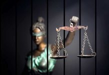 Wolf Dragged Into Bar: WTF? Blindfolded Lady Justice statue holding scales behind bars.