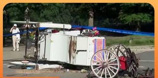 Central Park Panic Fuels Ban Blitz Calls Grow to Ban Horse-Drawn Carriages in NYC After Teen Dies