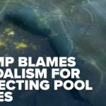 President Trump blames vandalism for Reflecting Pool issues