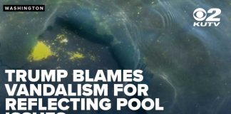 President Trump blames vandalism for Reflecting Pool issues