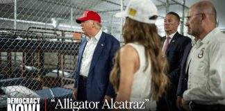 Predator Moats Around Prisoners — Seriously? Where Are The Detainees? Hundreds of "Alligator Alcatraz" Prisoners Disappear from ICE Database