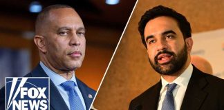 Fresh Socialist Wins Put Democrats at a Crossroads Democratic socialists admit 'HOSTILE' rift with establishment Dems