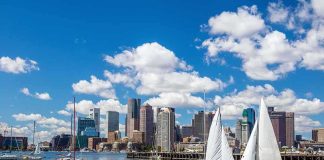 Sailboats on a harbor with a modern city skyline under a blue sky
