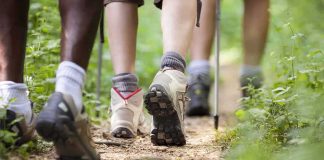 Hikers' feet walking on a forest trail